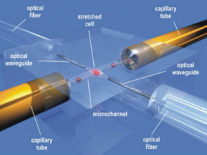 Fused Silica Capillary Tubes13